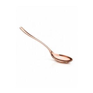 Premium Serving Spoon (BRD-PRS-01-BAKIR)